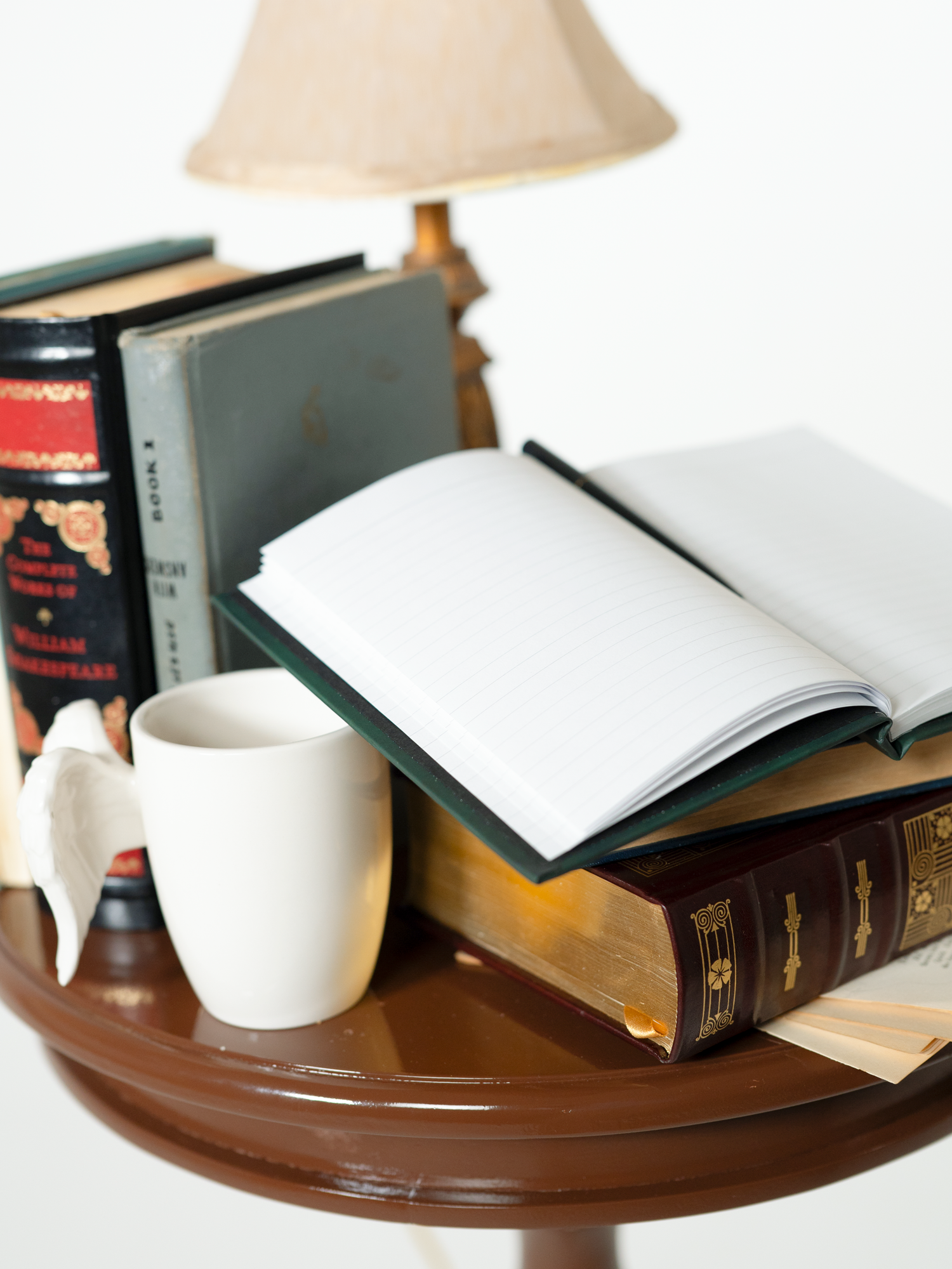 Accurate Parodies Notebook